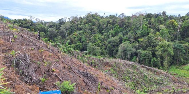 UU Pengaturan Reforma Agraria Buka Jalan Pemulihan Hak Masyarakat dalam Konflik Pertanahan
