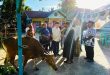 Sambut Idul Adha 1447 Hijriah, Bupati Kaimana Serah Bantuan 33 Ekor Sapi Kurban  