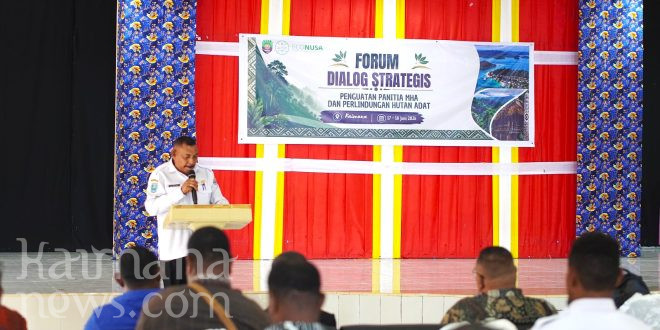 Econusa Gelar Dialog Strategis Penguatan Panitia MHA dan Perlindungan Hutan Adat