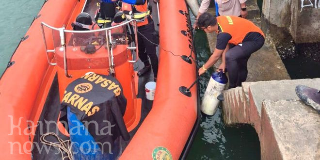 Tim SAR Kaimana Kembali Berjibaku Cari Korban Jatuh dari Kapal, Hari Pertama Nihil