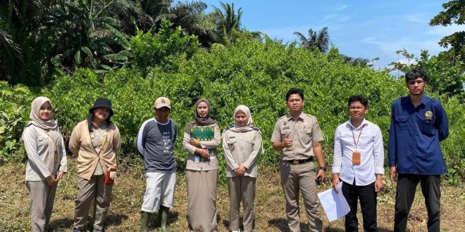 400 Kantor Pertanahan Termasuk Kaimana, Layani Pengukuran Terjadwal dengan Masa Tunggu 7 Hari