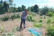 Sekjen ATR/BPN: Pemetaan Bidang Tanah Perkuat Tata Kelola Pertanahan